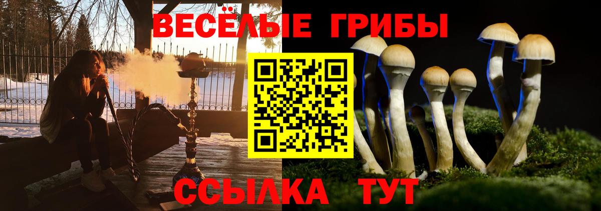 Североморск  наркотики  Галлюциногенные грибы GOLDEN TEACHER  Вход с VPN  Галлюциногенные грибы мицелий 