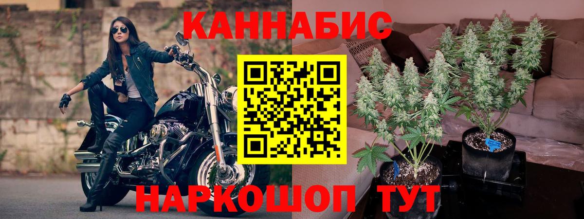 Марихуана конопля  Вход с VPN  Бошки марихуана OG Kush  Шишки марихуана конопля  Североморск  МАРИХУАНА OG Kush 
